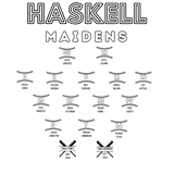 2025 Maidens Softball Playoff Tee